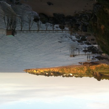 Jayne - Kasterlee - Anvers | Rencontre Trans