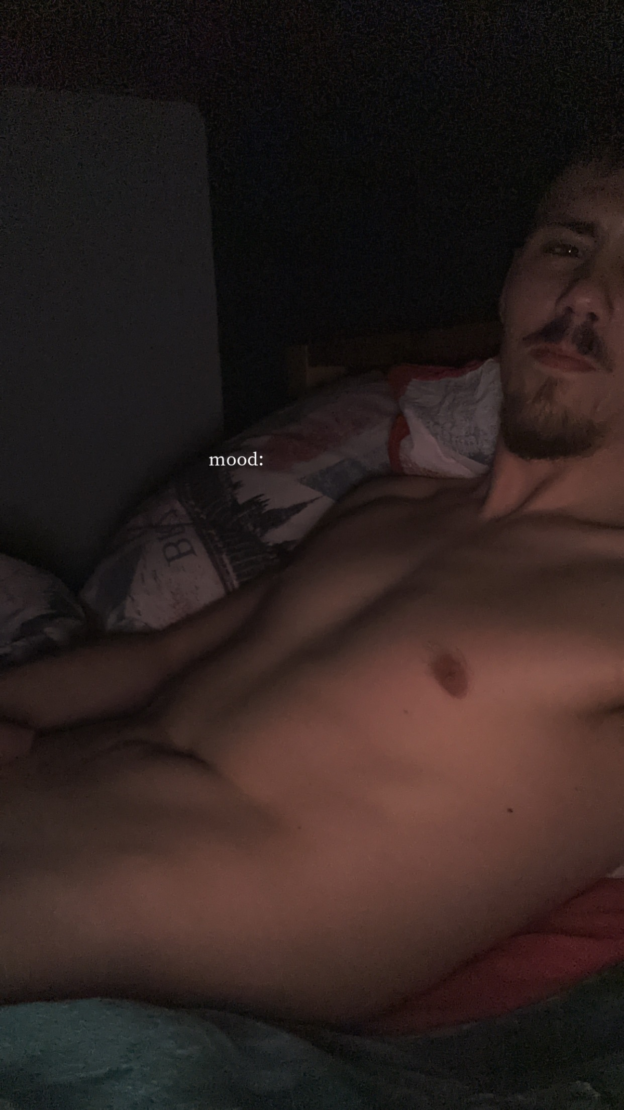 Bougary - Espierres-Helchin - Flandre occidentale | Rencontre Trans