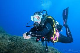 Hipolyte - Chiny - Luxembourg | Rencontre Trans