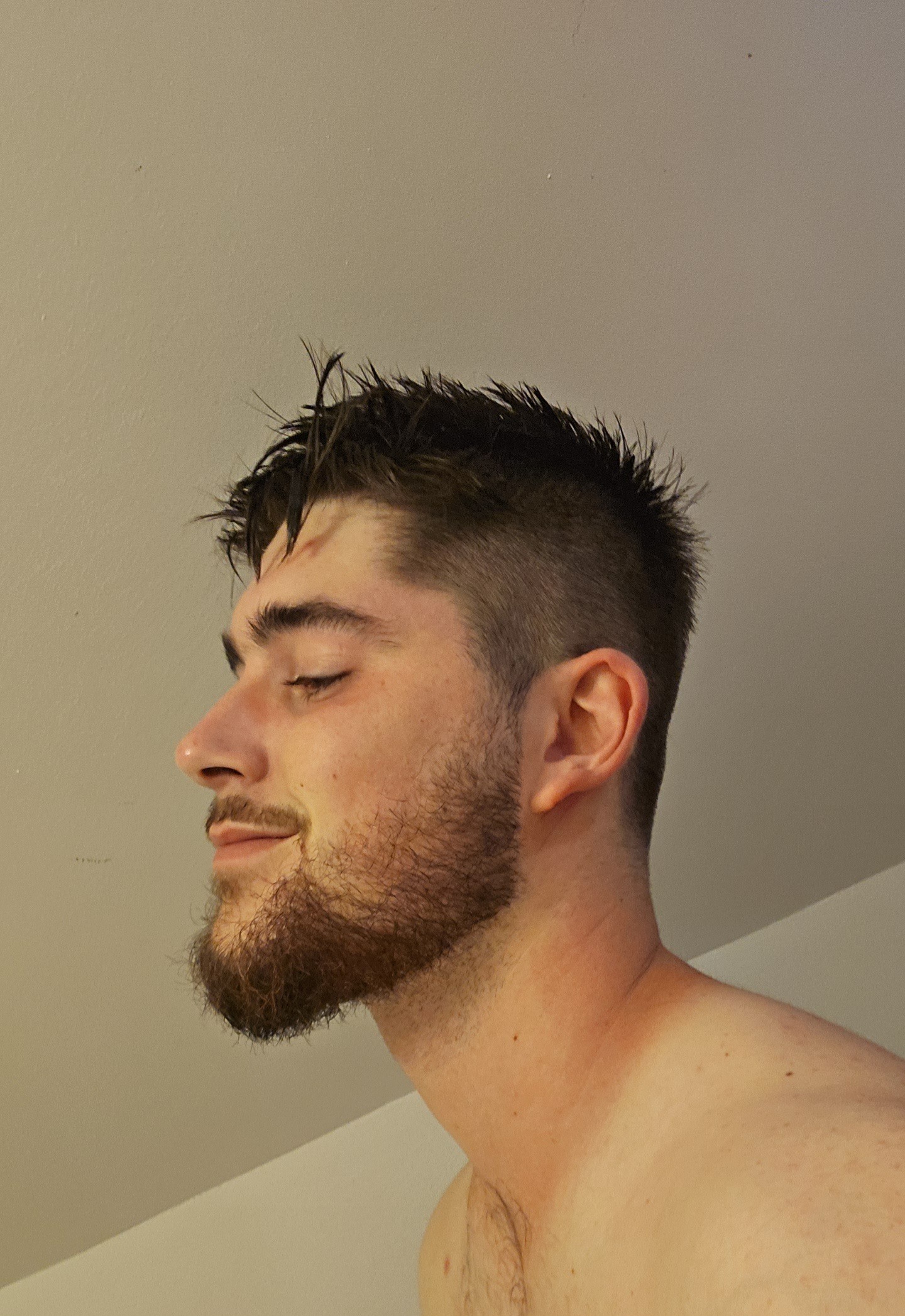 Rex - Torhout - Flandre occidentale | Rencontre Trans